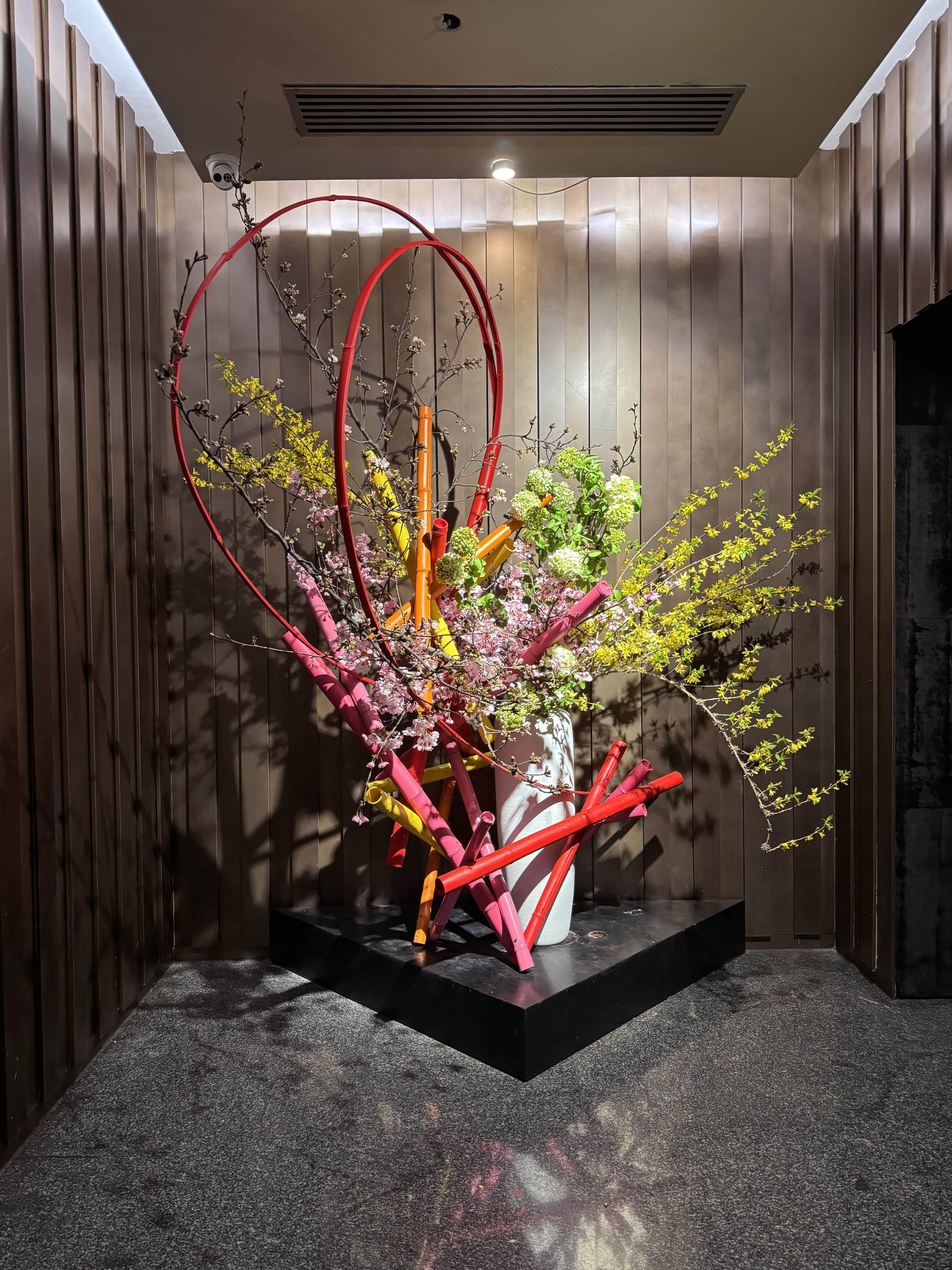 Yoko Yoshimoto の画像 30