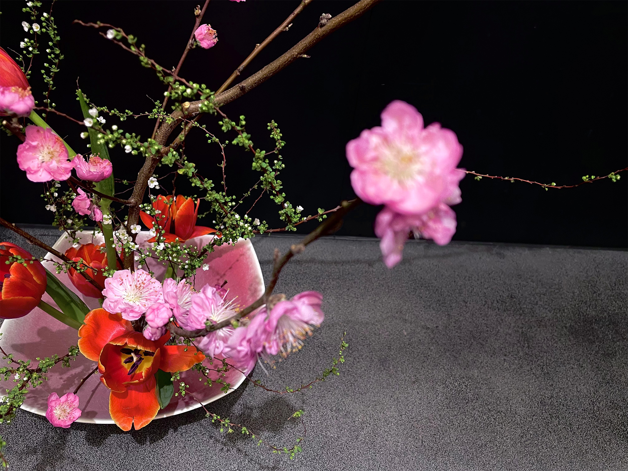 Yoko Yoshimoto の画像 34
