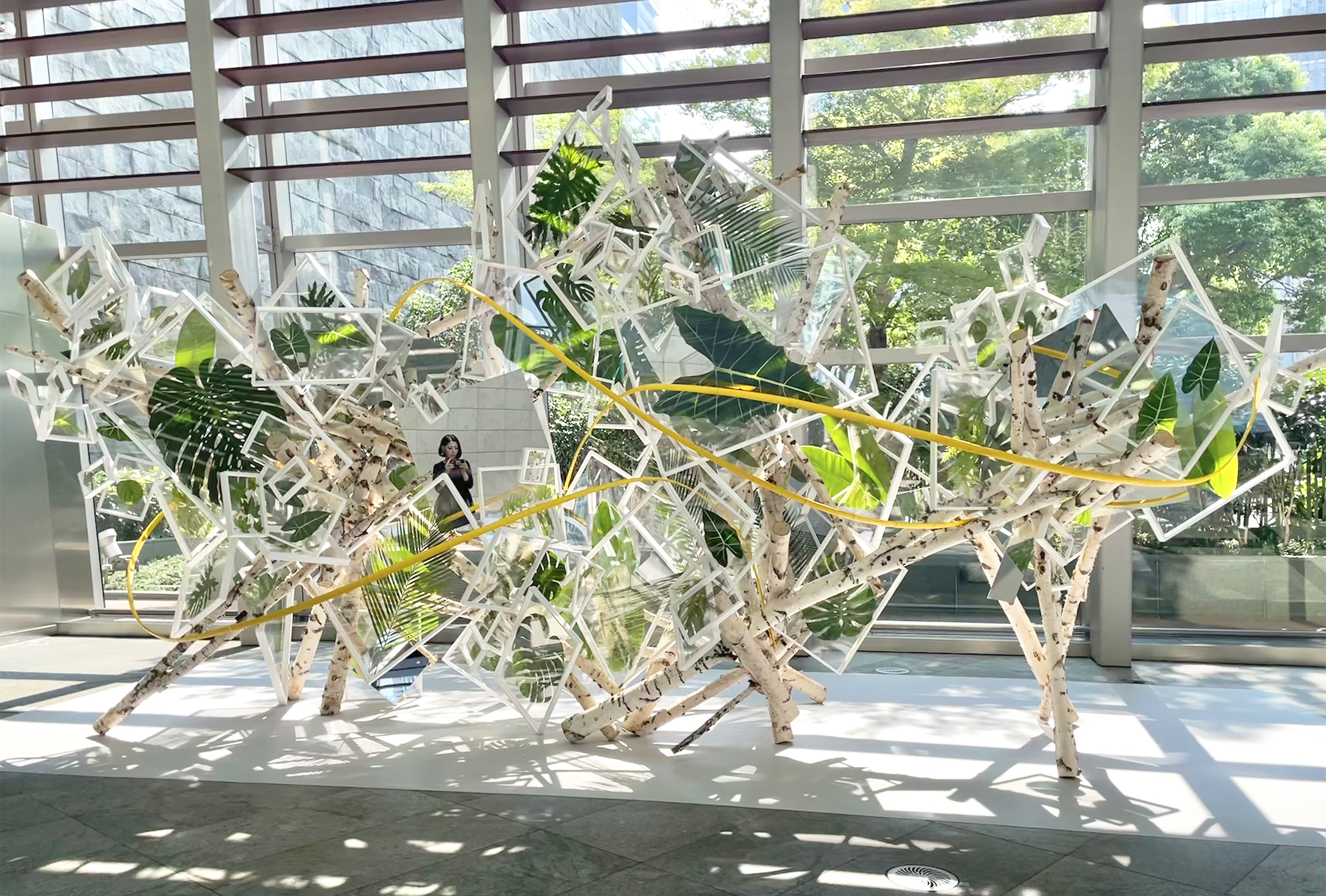Yoko Yoshimoto の画像 5