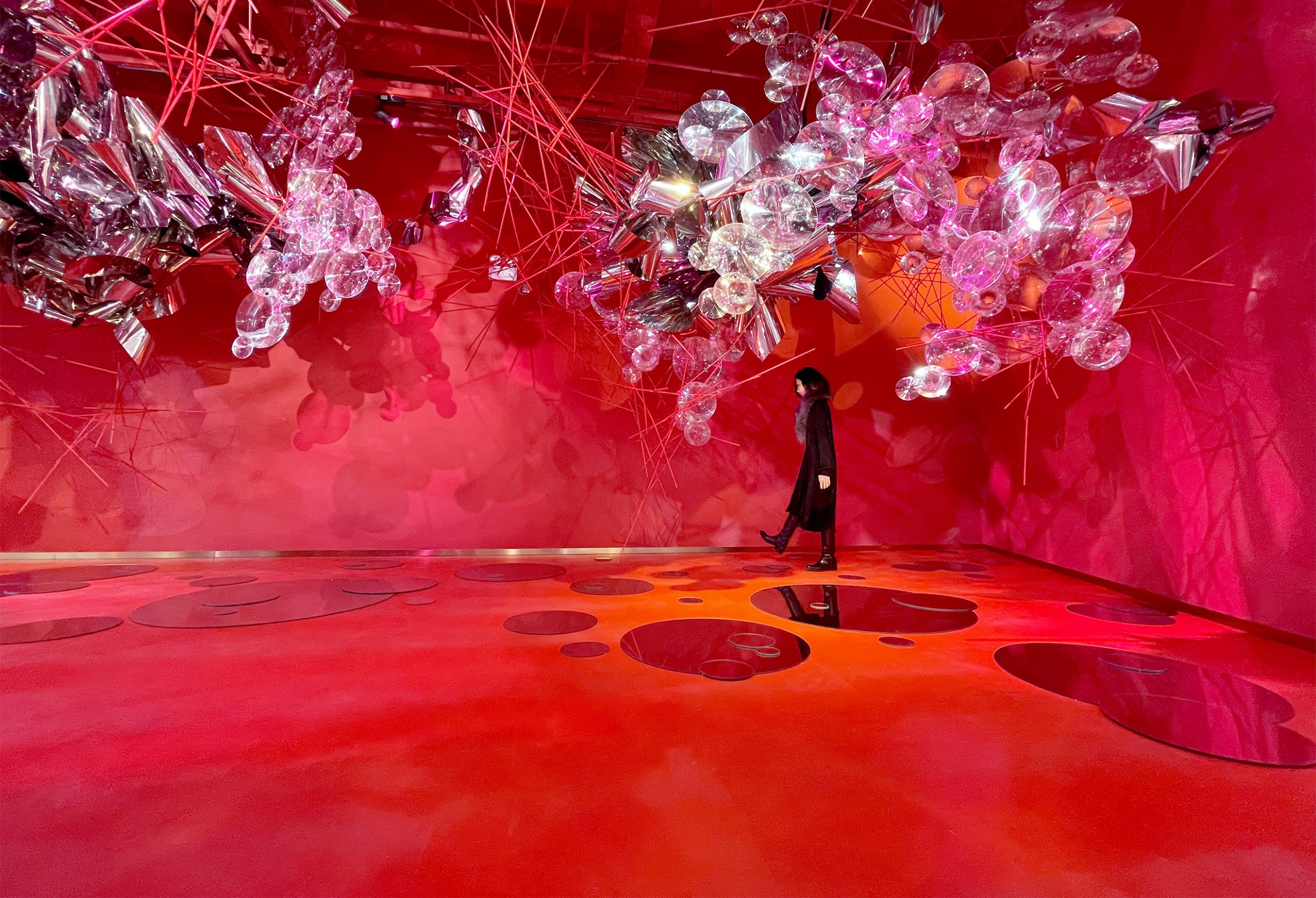 Yoko Yoshimoto の画像 7