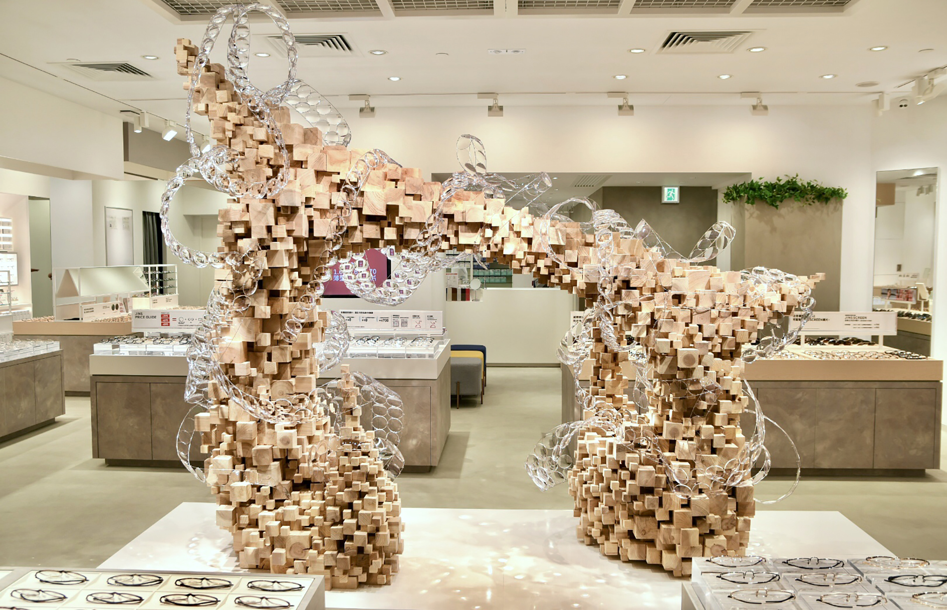 Yoko Yoshimoto の画像 9